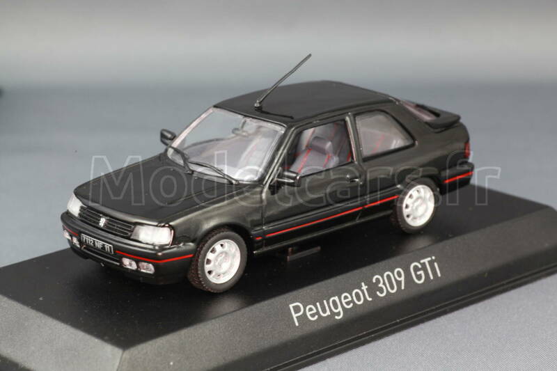 peugeot_309_gti_1987_noir_01.jpg