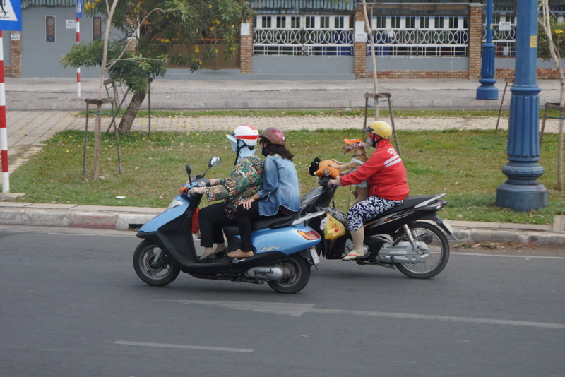 2015 04 viet camb (677)_redimensionner.JPG