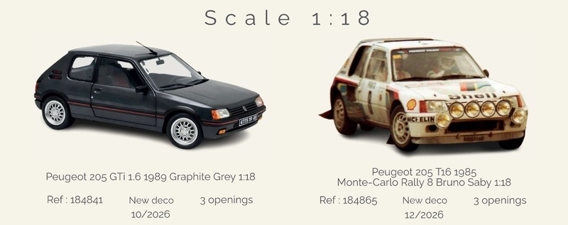 184841 + 184865 - 205 GTi + 205 T16.jpg