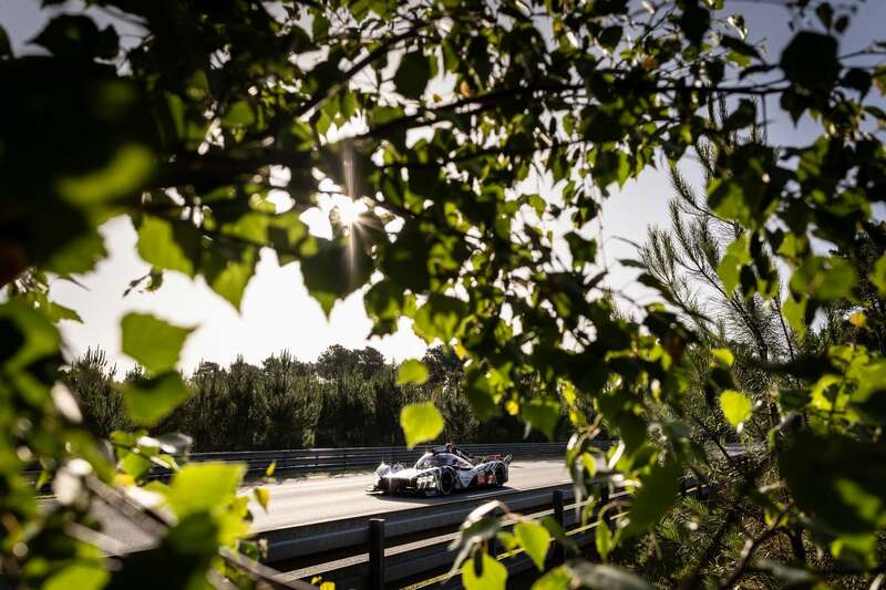 Le Mans 2026 -#94 feuillage.jpg