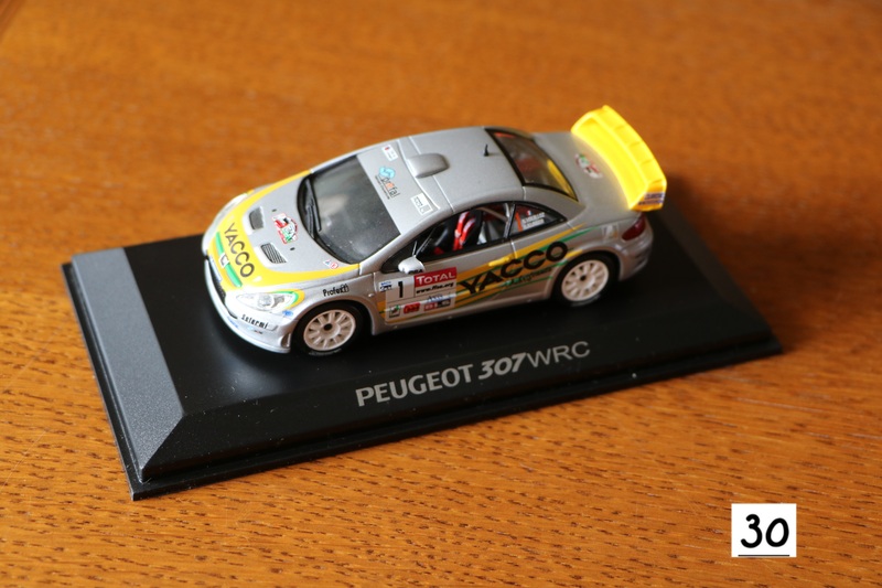 307 WRC.JPG