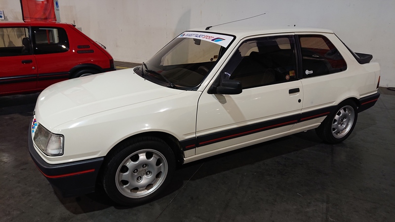 Peugeot 309 GTi ph.I - b.JPG